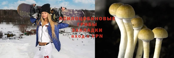 синтетический гашиш Богородск