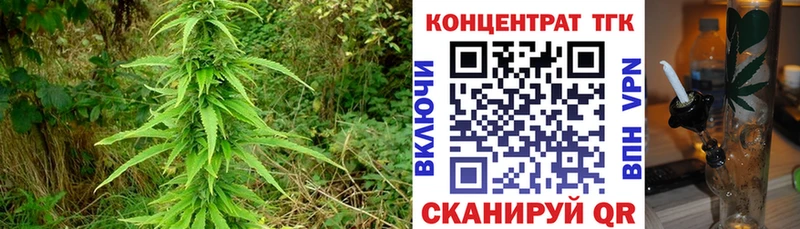 ТГК жижа  hydra ССЫЛКА  Нолинск  купить наркотики сайты 