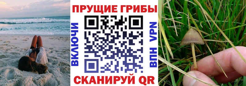Галлюциногенные грибы GOLDEN TEACHER  Нолинск 